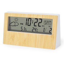 Roamer Meteorologická stanice