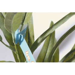 PlantTag štítek k rostlinám na zakázku