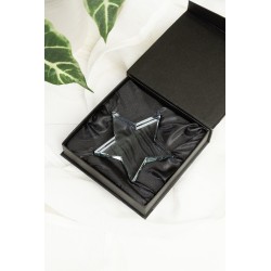 Crystar  trofej s hvězdou