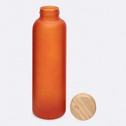 Skleněná láhev TAKE FROSTY