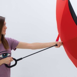 Obrácený deštník