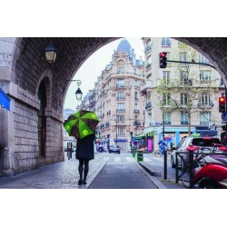 Velký automatický deštník s celoplošným tiskem