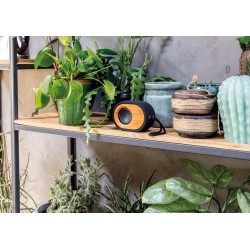 Reproduktor Bamboo X