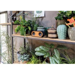 Dvojitý reproduktor Bamboo X