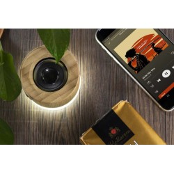 Bezdrátový reproduktor RORAT