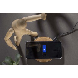 Indukční nabíječka QUERK