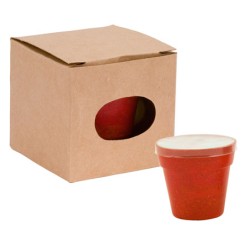 Květináč se semínky petunie