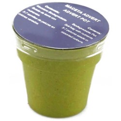 Květináč se semínky petunie