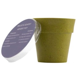 Květináč se semínky petunie