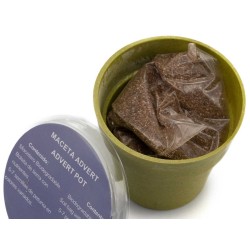 Květináč se semínky petunie