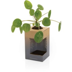 Termohrnek Avira Alya 300ml z RCS recyklované oceli