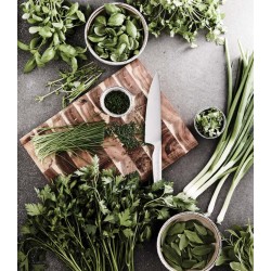 Kuchařský nůž VINGA Hattasan