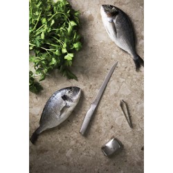 Sada na filetování VINGA Hattasan