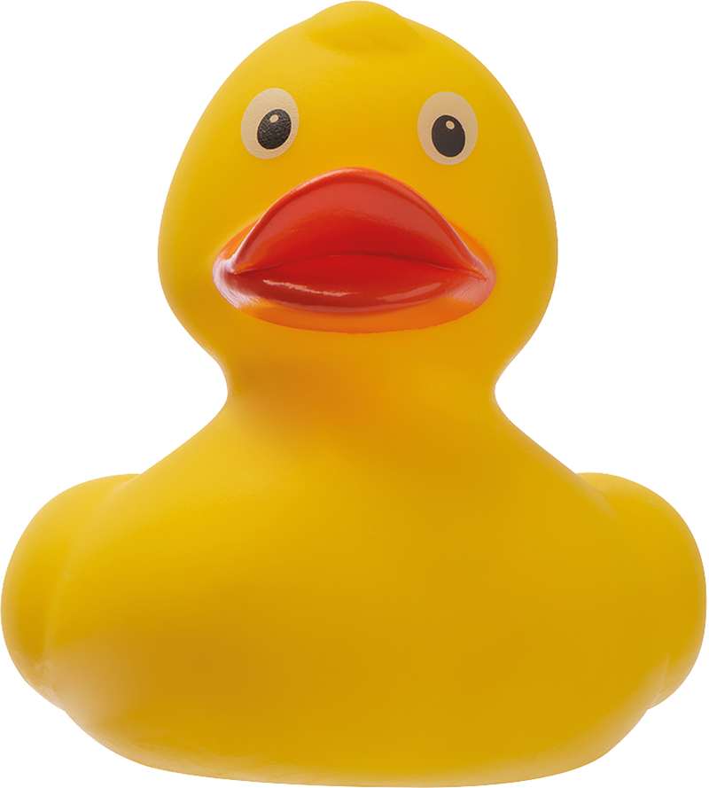 Gumová kachnička