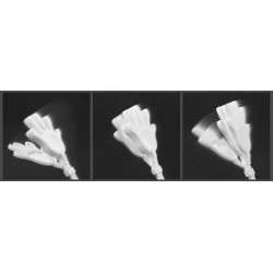 Tleskací plastová ruka APLAUS