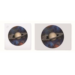 Rozz Puzzle v krabici, 1000 dílků.