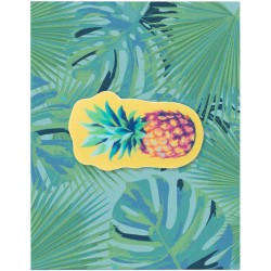 ShapeCam krytka na web kameru