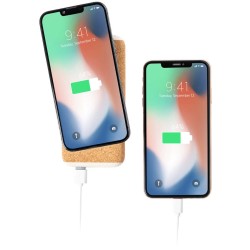 Power banka Limerick