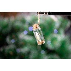 Láhev na přání Shoilen