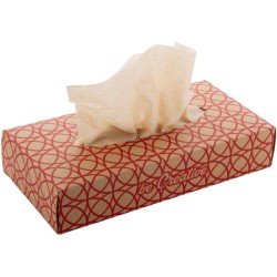 Papírové kapesníčky na zakázku CreaSneeze Eco