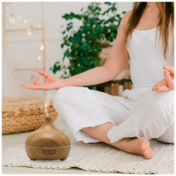 Zvlhčovač vzduchu Prixton Hidra