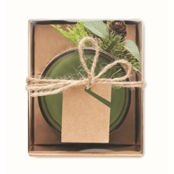 Forest Vánoční svícen