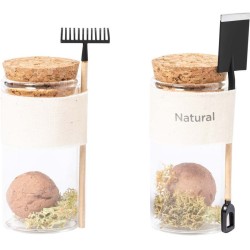 Sada na pěstování květin Winsu