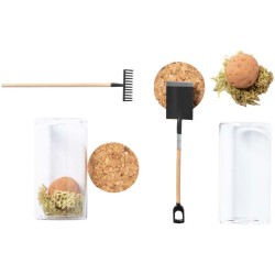 Sada na pěstování květin Winsu