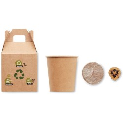 GROWTREE SET vyrobený z borovice