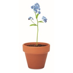 Terakotový květináč - pomněnka