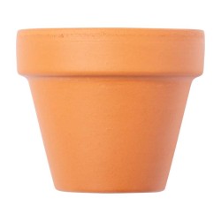 Květináč se semínky Soltax