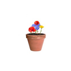 Koule se semínky Mussox