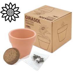 Terakotový květináč se semínky