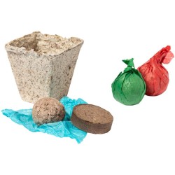 Sada na pěstování bylinek Mendrax