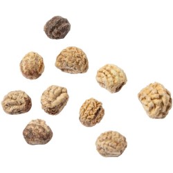 Sada pro pěstování květin Halors