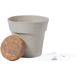 Květináč se slunečnicí Tumil