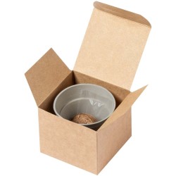 Květináč se slunečnicí Tumil