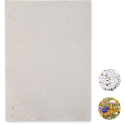 Asidi List A4 se semínky květin