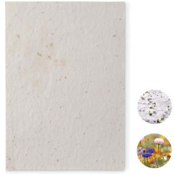 Aside List A5 se semínky květin