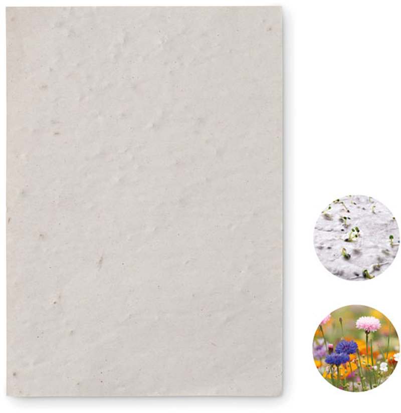 Asido List A6 se semínky květin