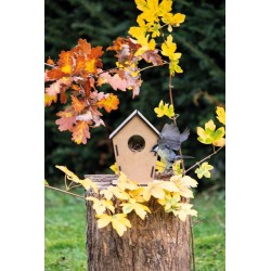 Ptačí domeček ECO HOME