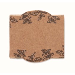 Mint pot Semínka máty v  květináčku