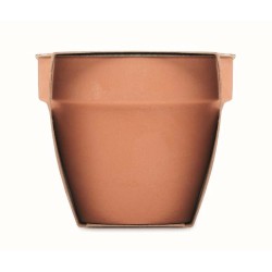 Mint pot Semínka máty v  květináčku