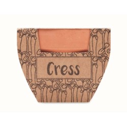 Cress pot Semínka řeřichy v květináčku