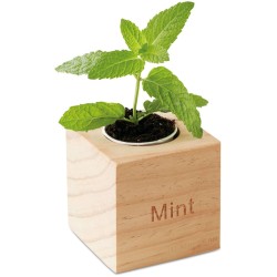 Dřevěný truhlík na bylinky