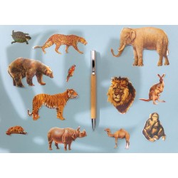 Moderní bambusové pero