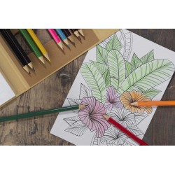 Omalovánka s pastelkami BETSO