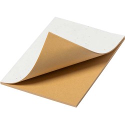 Blok se semínky Maiwen