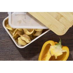 Krabička na jídlo SINGLE 650 ml