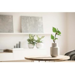 Savage Zápisník A5 GROWBOOK